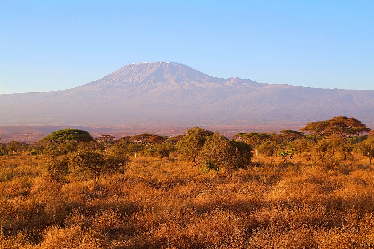 africa